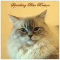 /album/fenykepgaleria/benson-2015-01-05-003-jpg1/
